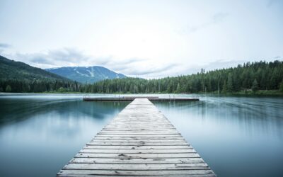 Episode 54: What Occurs in Intensive Counseling? (with Mark Schuitema)