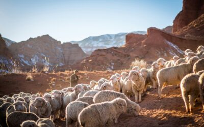 Episode 58: Can Anyone Be a “Biblical Counselor?” (with Joshua Greiner)